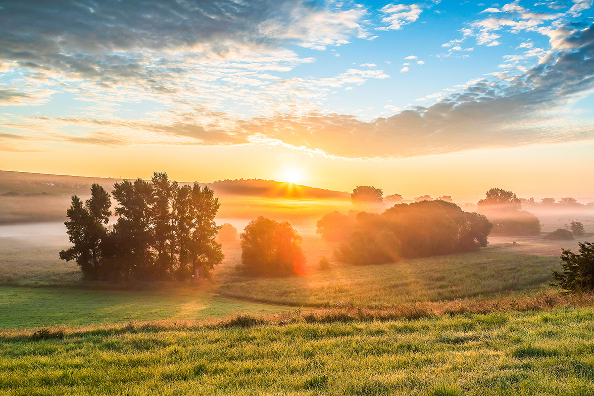 2025 Vortrag Gabi Reichert 2