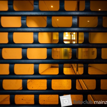 2020 Mainz-Walk &quot;Mainzer Lichter&quot;