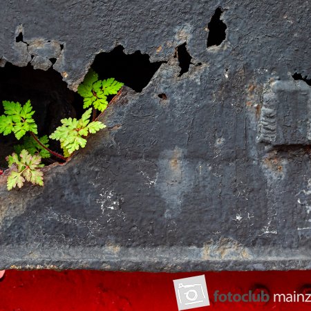 2024 Eisenbahnmuseum Kranichstein - Doris Holland: &quot;6&quot;