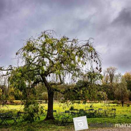 2025 Hombroich &amp; Düsseldorf - Arndt Schlüter: &quot;Abschied&quot;