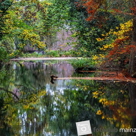 2025 Hombroich &amp; Düsseldorf - Doris Holland: &quot;Herbststimmung 2&quot;