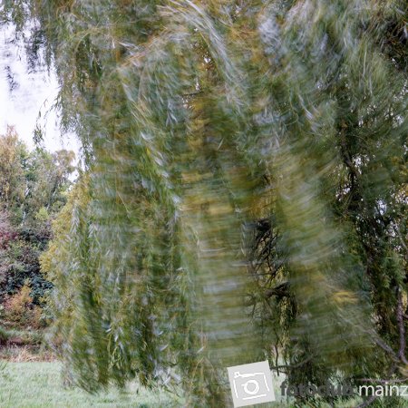 2025 Hombroich &amp; Düsseldorf - Jochen Dibbern: 2