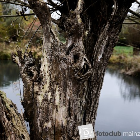 2025 Hombroich &amp; Düsseldorf - Jochen Dibbern: 3