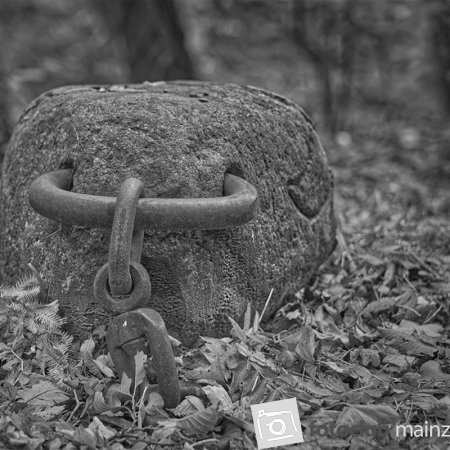 2025 Hombroich &amp; Düsseldorf - Michael Mager: &quot;Nasenring SW&quot;