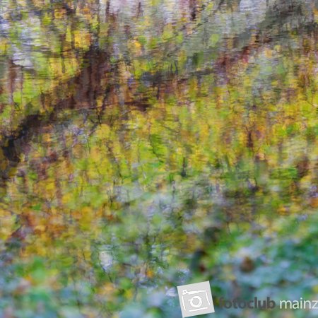 2025 Hombroich &amp; Düsseldorf - Monika Sturm 1