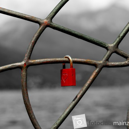2024_Diem Demirci_&quot;lonely love&quot;