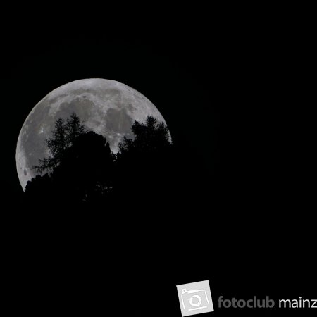 2026_Mitglied_Dieter_Rubner_Blutmond ohne Blut