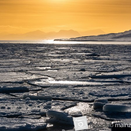 2025_mitglied_doris_holland_spitzbergen3