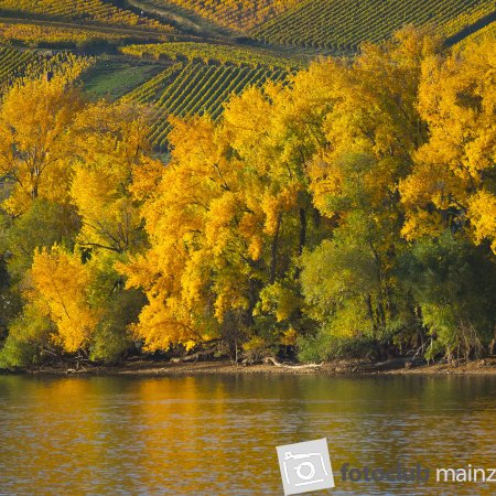 Herbstleuchten