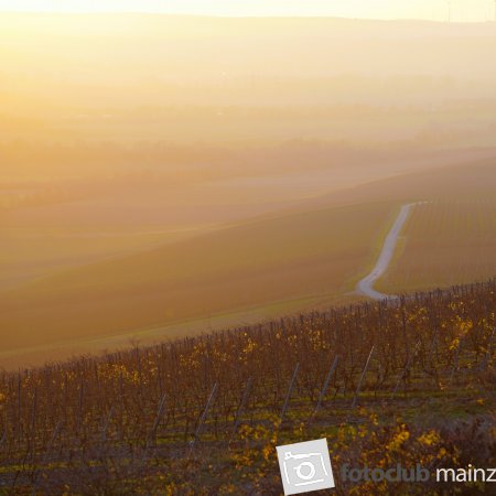 Herbstsonne