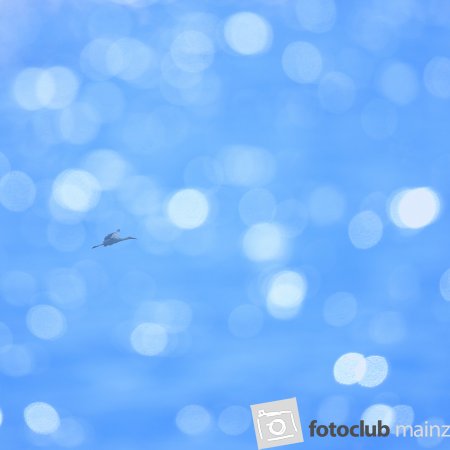 2024_mitglied_jens_sager_storch