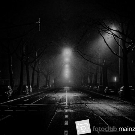 Rheinallee bei Nacht