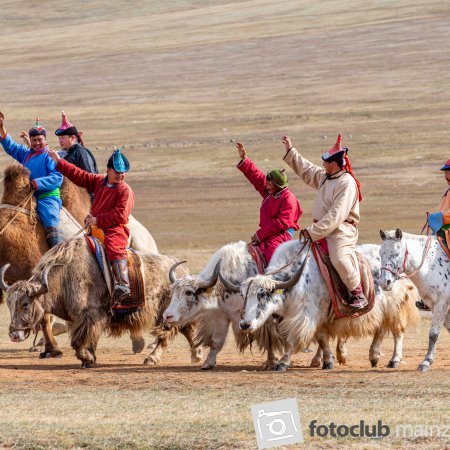 2024_mitglied_heiner_holland_mongolei-wilde-reiter