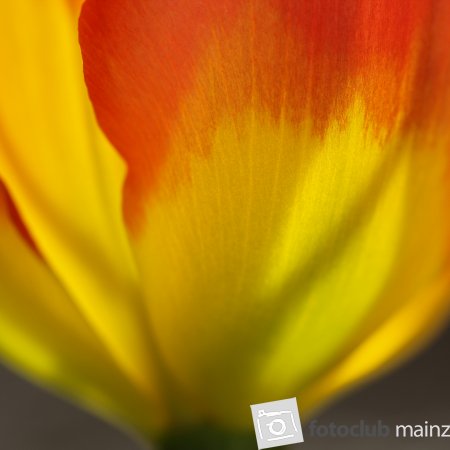 bunt1