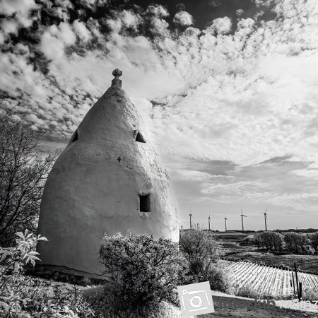 2022 Jahresthema &quot;Schwarz-Weiß&quot;