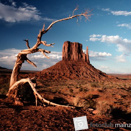 2023 Mein Bild: "Monument Valley" von Manfred Schmitt
